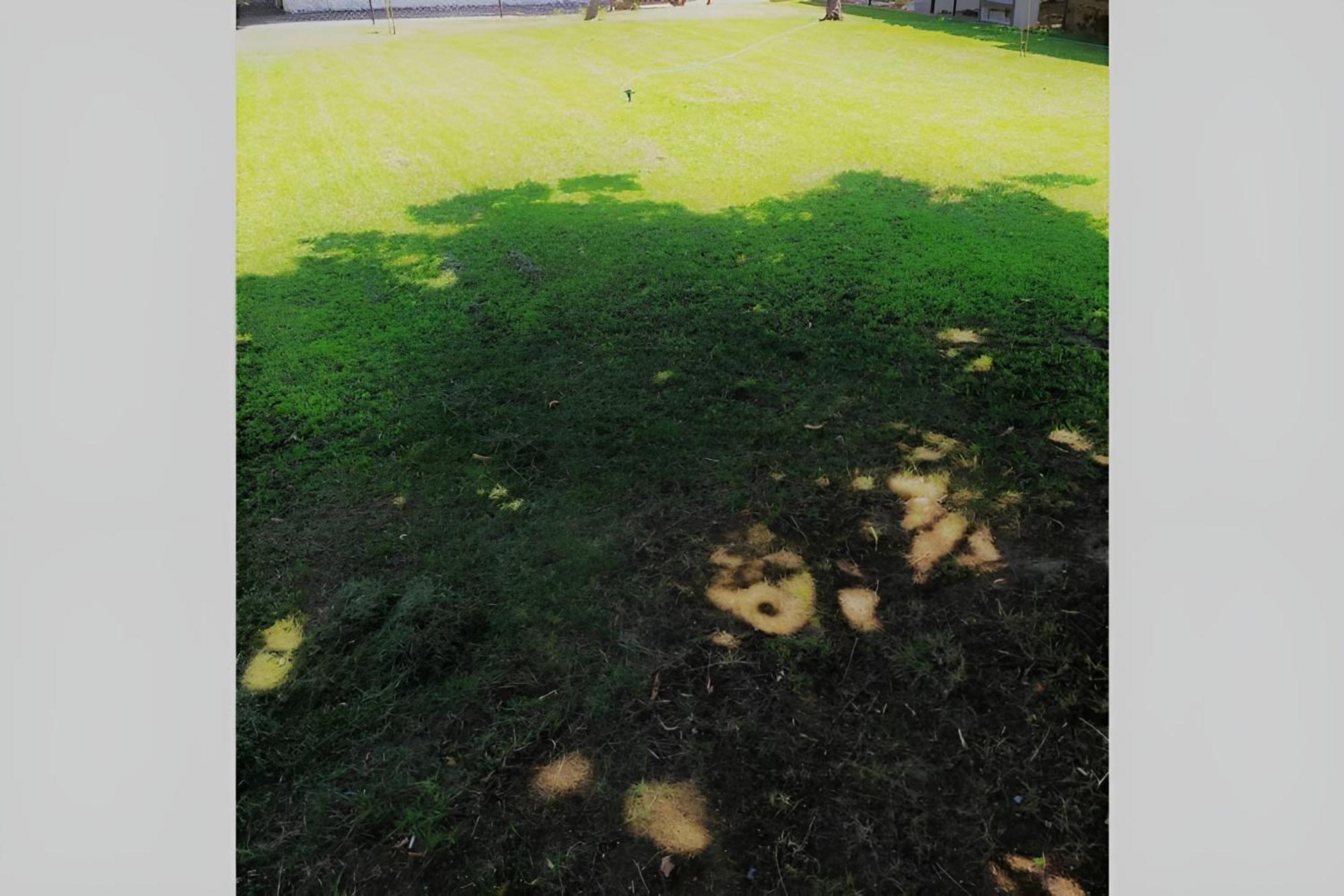 הוילה Asprovalta Nikos House מראה חיצוני תמונה